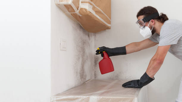 Professional Crawl Space Mold Remediation technician working in Princeton, NC