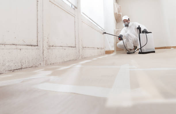 24/7 Emergency Crawl Space Mold Remediation experts in Princeton, NC